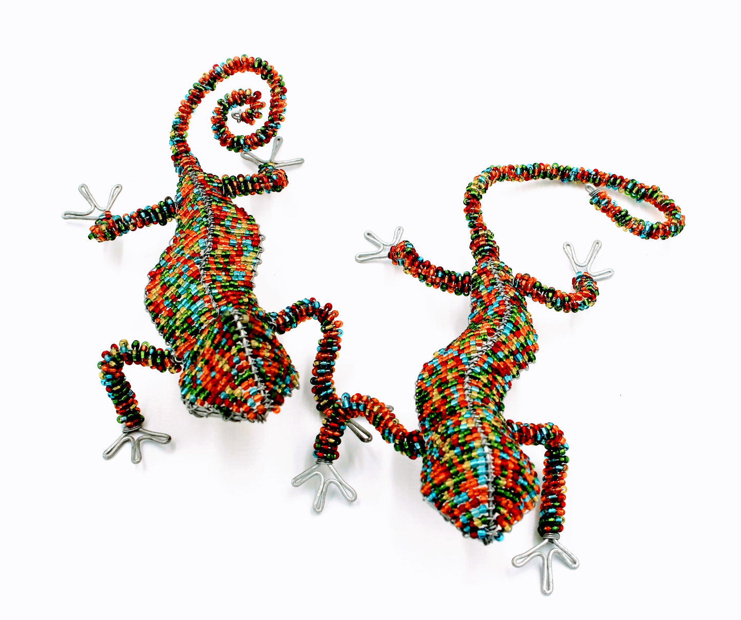 Vibrant Beaded Lizards