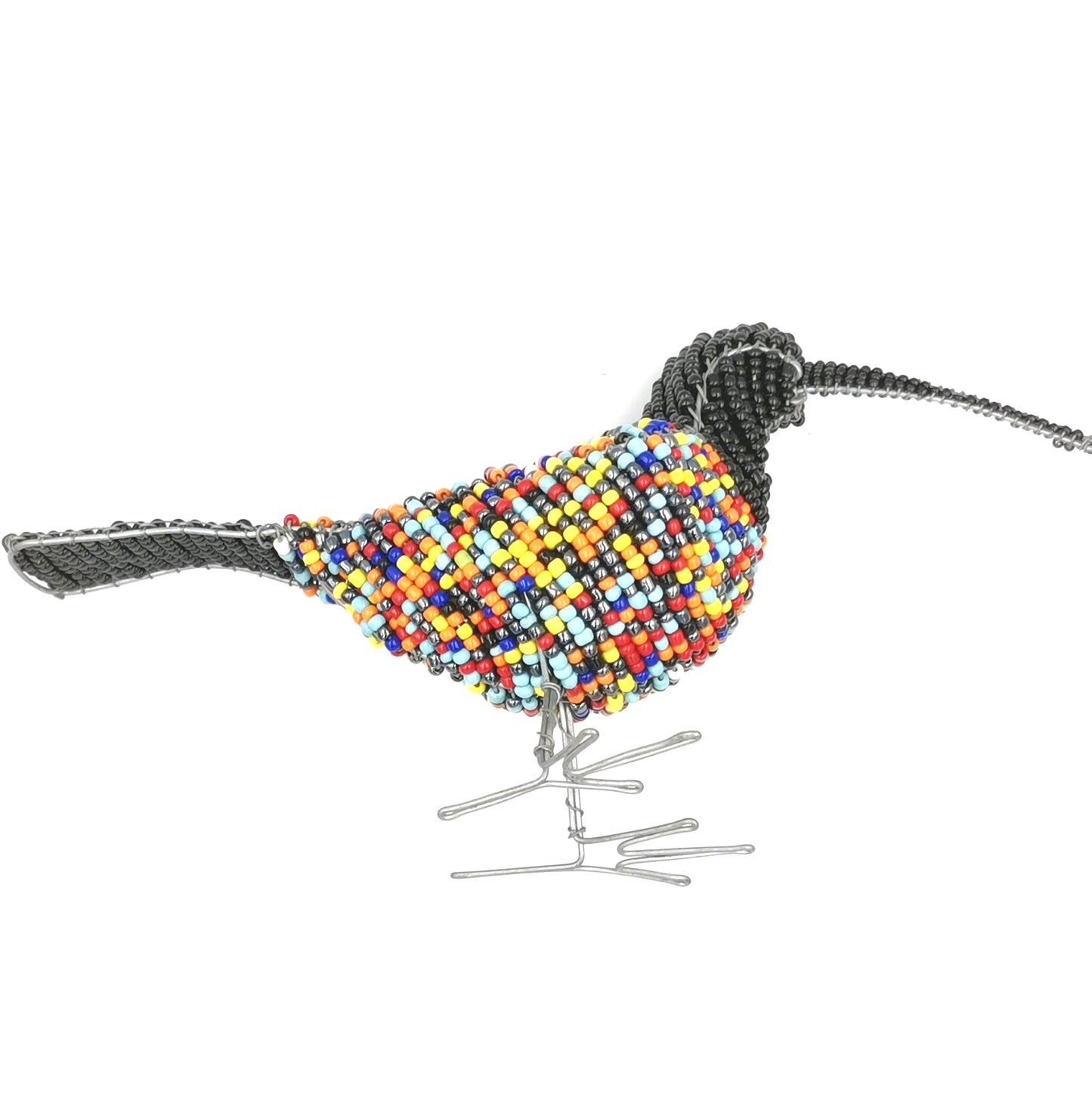 Large Beaded Sunbird