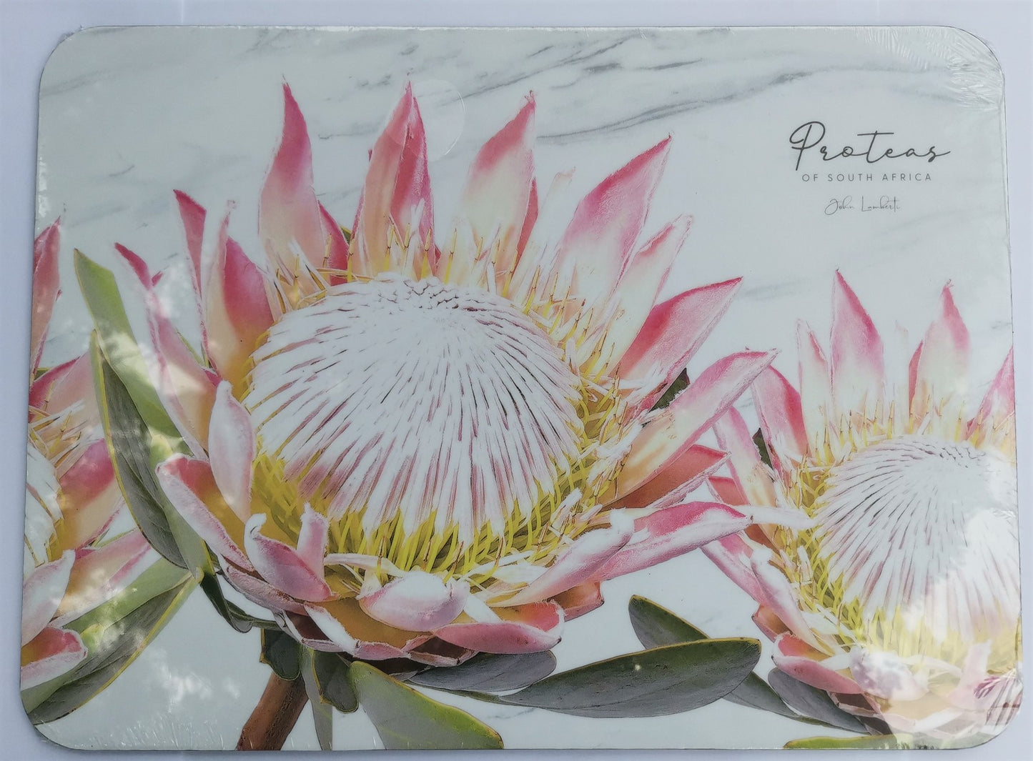 Large Protea Placemat