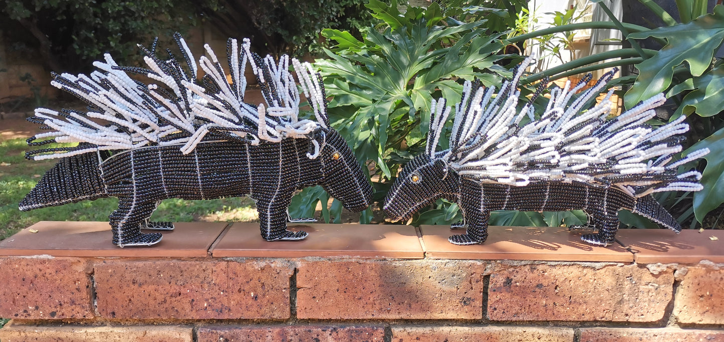Beaded Porcupine
