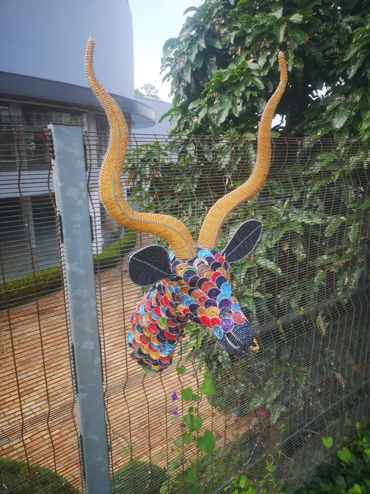 Coffee Pod, Beaded Kudu Head