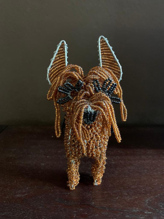 Beaded Yorkshire Terrier