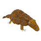Beaded Pangolin