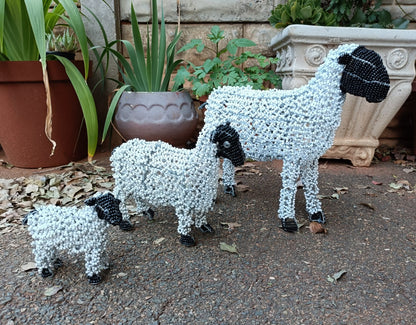 Beaded Sheep