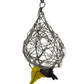 Beaded Weaver Hanging from Nest