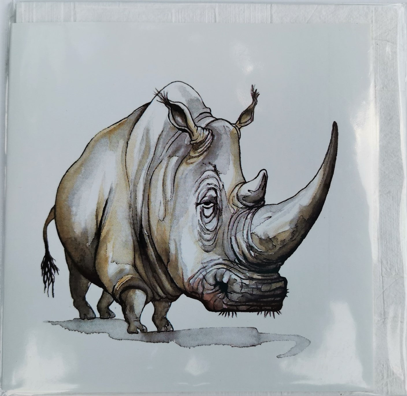 African Animal Greeting Cards