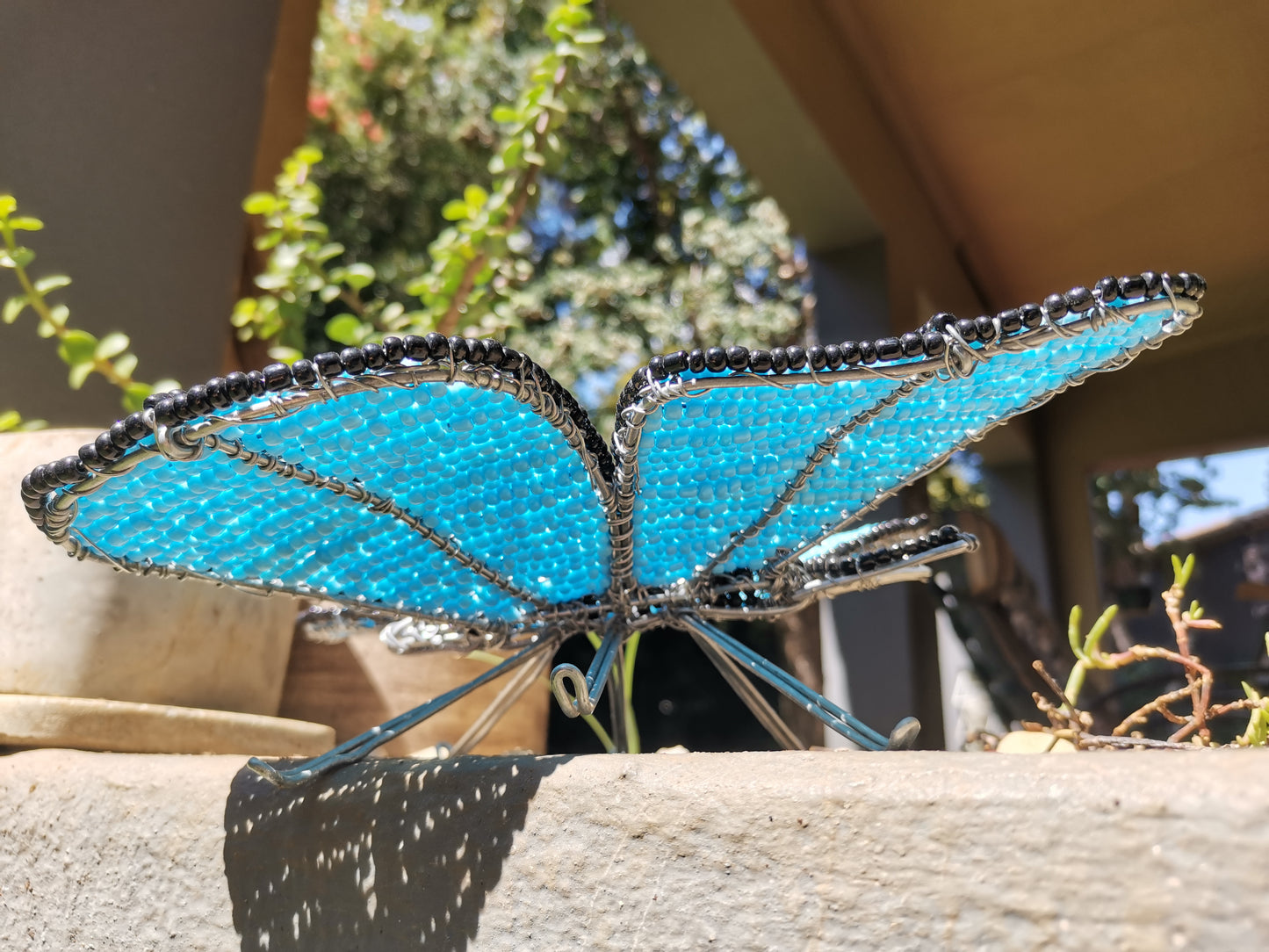 Large Butterfly