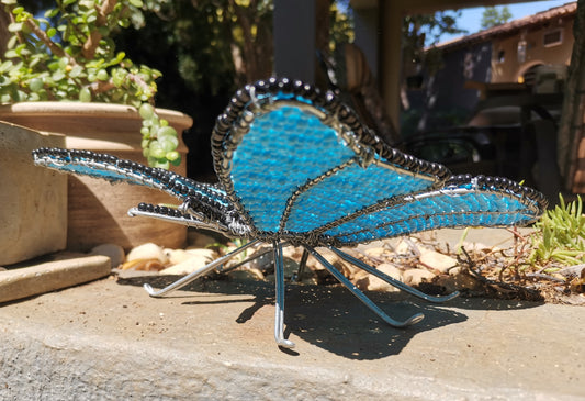 Large Butterfly