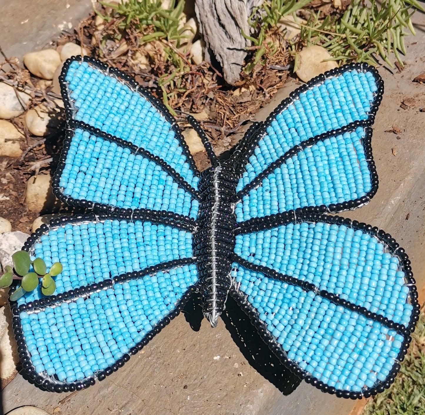 Large Butterfly