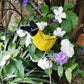 Beaded Garden Weaver