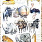 Tea Towels - Animals with Attitude