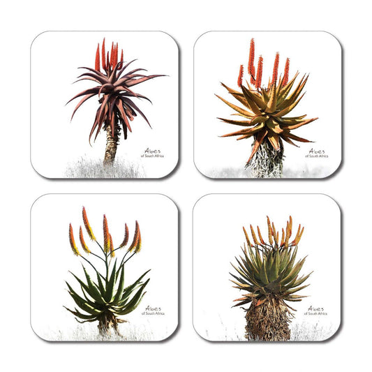 Aloe Coasters