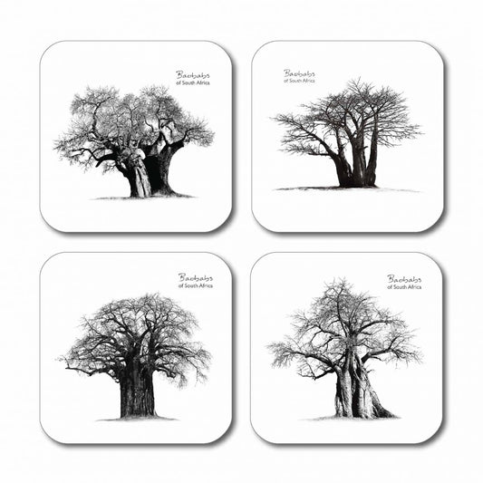 Baobab Coasters