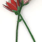 Beaded Protea
