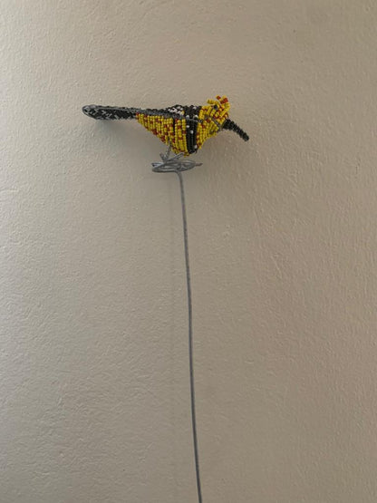 Beaded Garden Crested Barbet