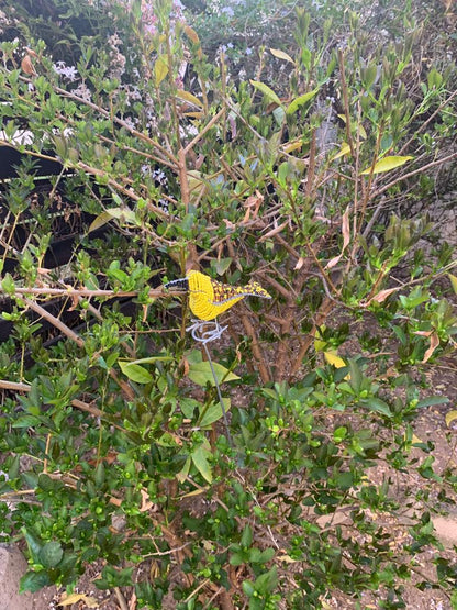 Beaded Garden Weaver