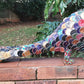 Coffee Pod Pangolin