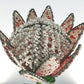 Beaded Protea