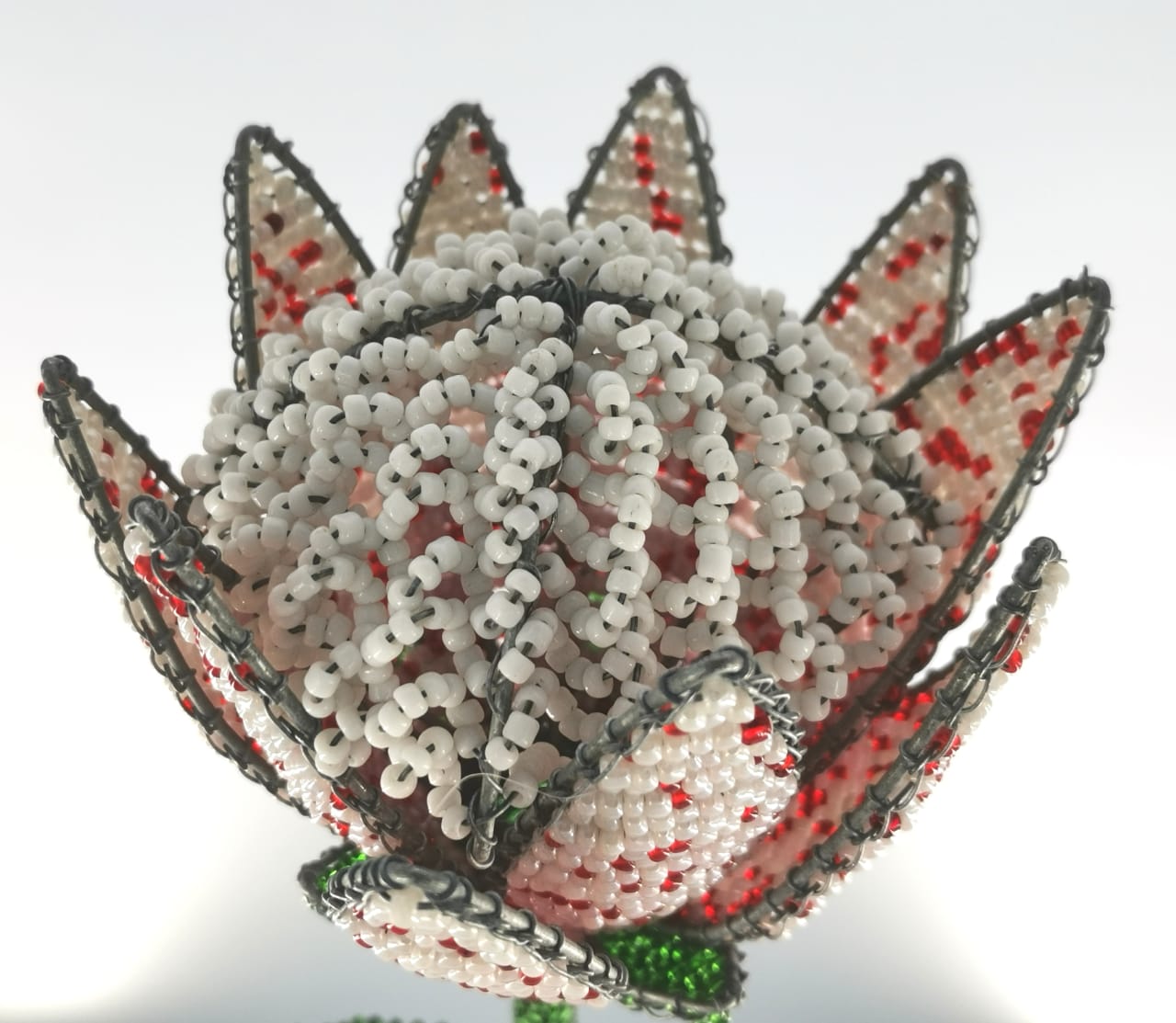 Beaded Protea