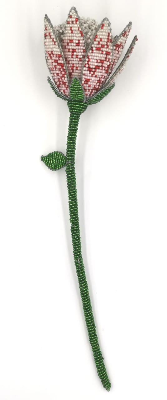 Beaded Protea