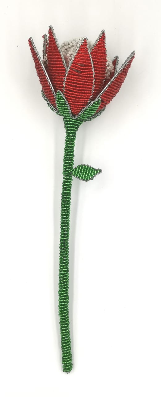 Beaded Protea
