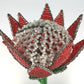 Beaded Protea