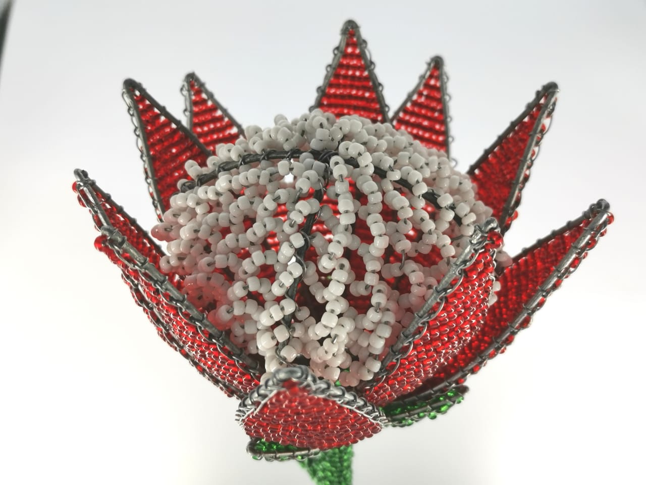 Beaded Protea