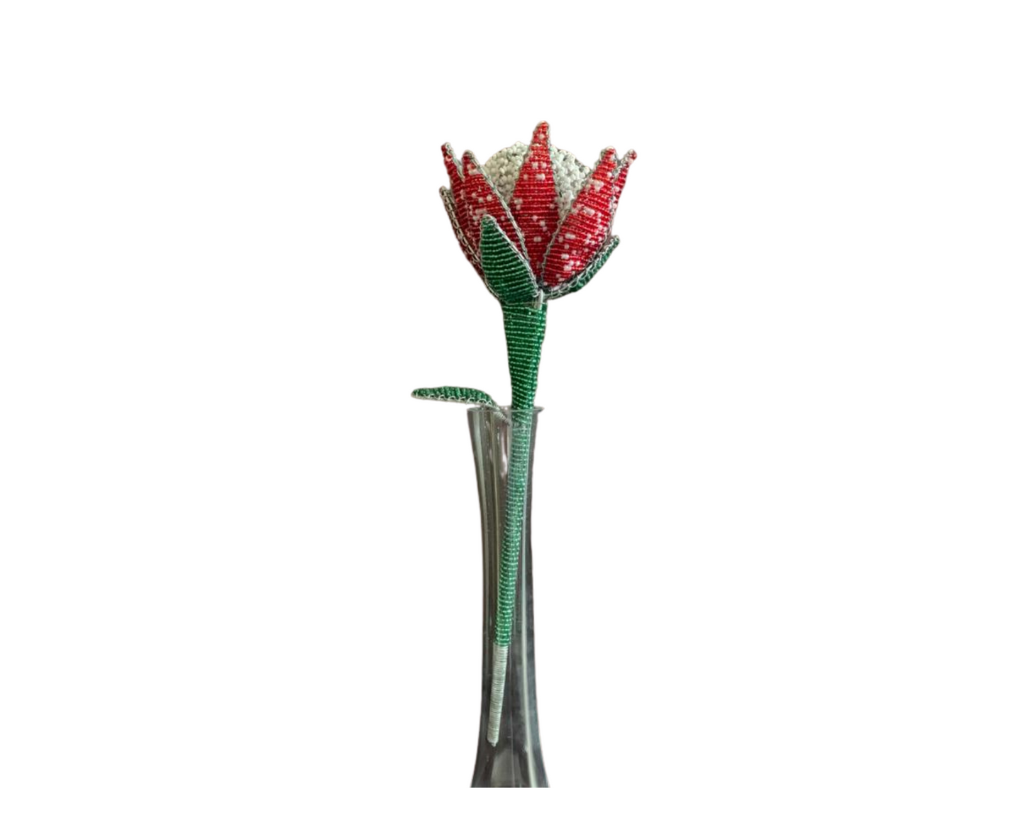 Beaded Protea