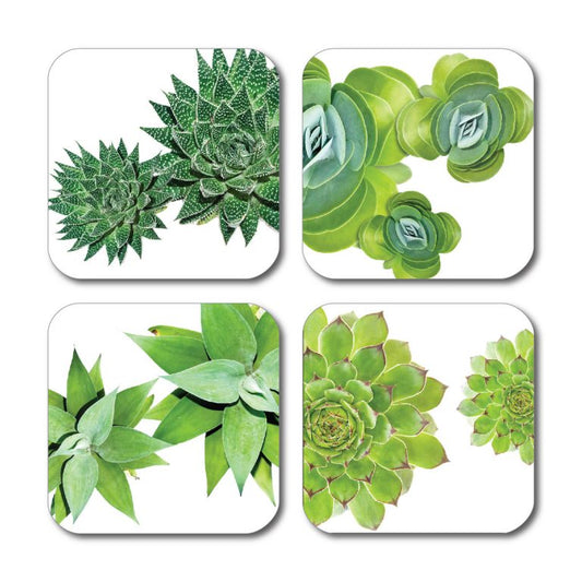 Succulent Coasters