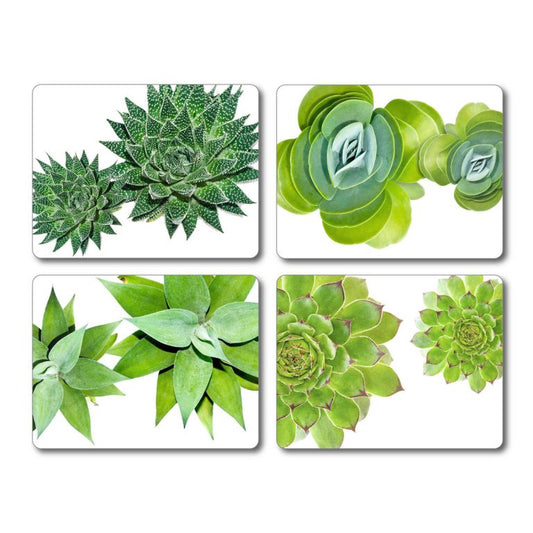 Succulent Placemats