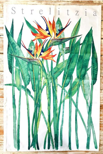Tea Towels - Strezlitzia