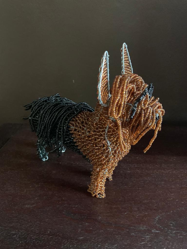 Beaded Yorkshire Terrier